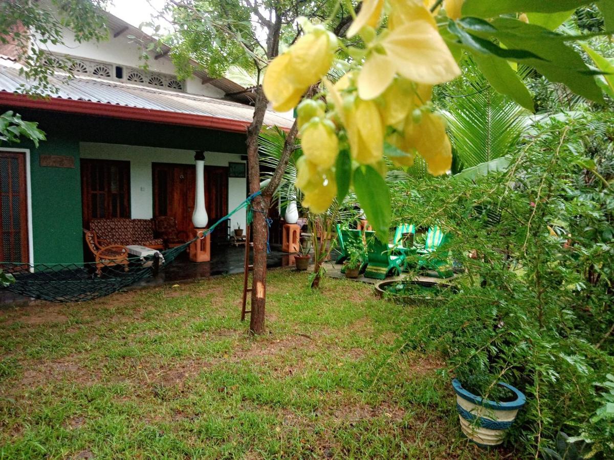 Sigiriya Village Home Stay Bagian luar foto