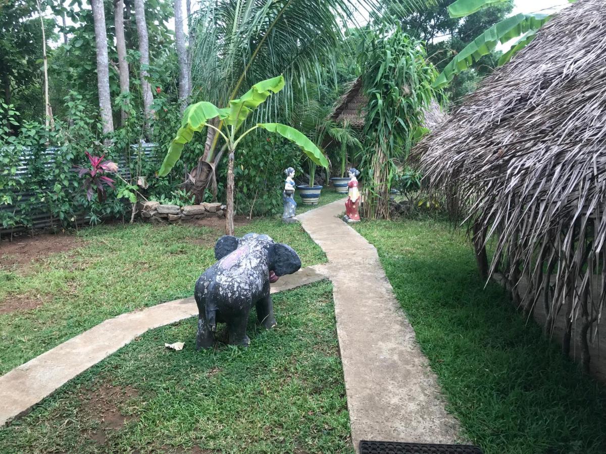 Sigiriya Village Home Stay Bagian luar foto
