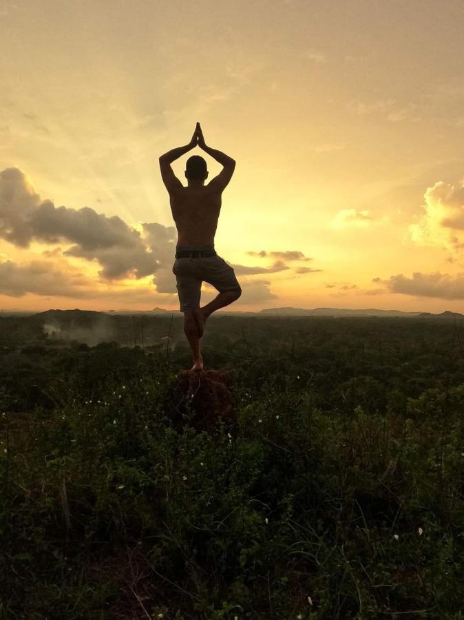 Sigiriya Village Home Stay Bagian luar foto
